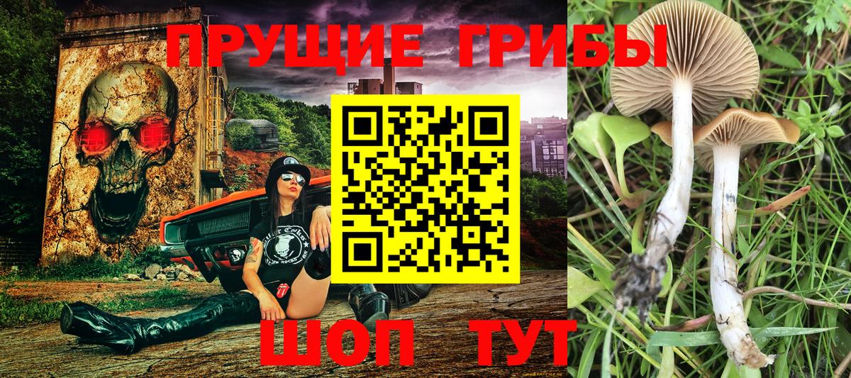 Гашиш Майский