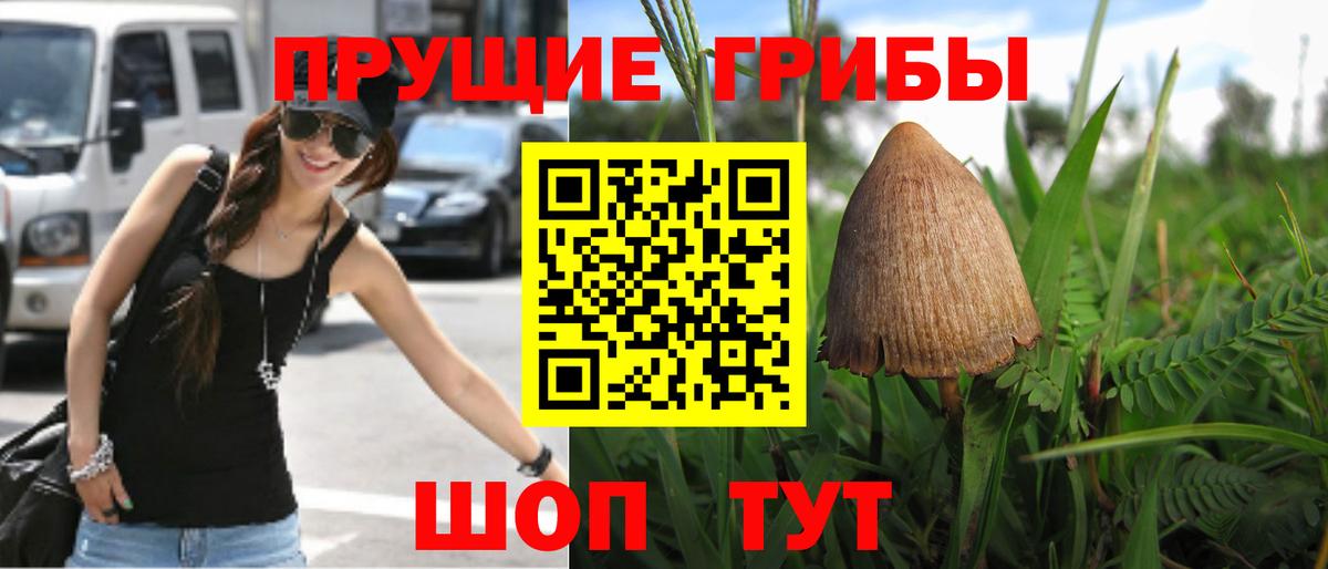Галлюциногенные грибы Psilocybine cubensis  Галлюциногенные грибы мухоморы  Вход с VPN  Майский 
